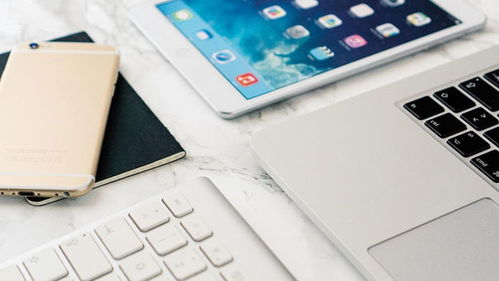 網上商城購物系統的建設問題與技巧